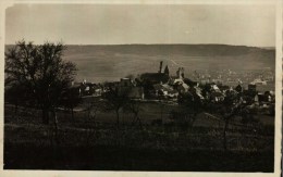 CPSM Photo  PF  (51)    CHATILLON-sur-MARNE  -   Vue Générale - Châtillon-sur-Marne