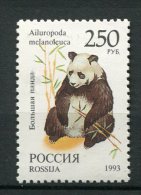 (cl. 8 - P52) Russie ** N° 6044  (ref. Michel Au Dos) - Pandas - - Used Stamps