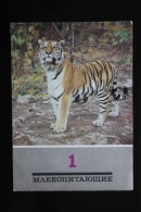 Tiger  - - Old PC - 1989 - Tigers