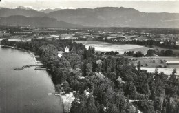 RHONE ALPES - 74 - HAUTE SAVOIE - SCIEZ - Coudrée Et Le Lac Léman - Sciez