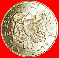 * GREAT BRITAIN (1978-1991): KENYA  10 CENTS 1986 LIONS AND COCK! LOW START  NO RESERVE! - Kenia