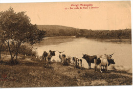 Carte Postale Ancienne De CONGO - LES BORDS DU NIARI A LOUDINA - Other & Unclassified