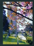 ENGLAND  -  Bladon Church  Unused Postcard As Scan - Andere & Zonder Classificatie