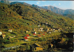 ROQUEBILLIERE - Vieux Village Et Cité E.D.F. Alt 625m. Belvédère Dominant La Vallée Alt 820m - Roquebilliere