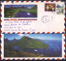 POLYNESIE - MAHINA - TAHITI  / 1996  LETTRE PAR AVION POUR LA FRANCE (ref 6619) - Storia Postale