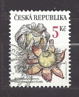 Czech Republic  Tschechische Republik  2000 Gest. Mi 260 Sc 3126a  Rare Mushrooms:  Earthstar Geastrum Pouzarii.  C.1 - Gebraucht
