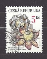 Czech Republic  Tschechische Republik  2000 Gest. Mi 260 Sc 3126a  Rare Mushrooms:  Earthstar Geastrum Pouzarii.  C.2 - Used Stamps