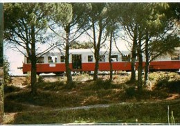 CP Trains - 11 Aude - Autorail Entre Salleles-d´Aude Et Mirepeisset; Près Du Canal Du Midi - Cp N° 12997 - Salleles D'Aude