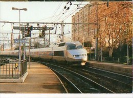 CP Trains - 13 B D R - TGV En Gare De Marseille Blancarde - Cinq Avenues, Chave, Blancarde, Chutes Lavies