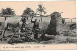 Carte Postale Ancienne D´EGYPTE - A SAKIJEH - Persone