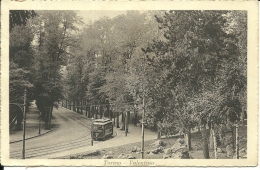 TORINO  Valentino  Tram   1917 - Transports