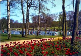 76 LE HAVRE ++ La Forêt De Montgeon;. Le Lac Aux Cygnes ++ - Forêt De Montgeon