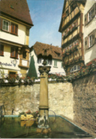 Bad Wimpfen Am Neckar - Adlerbrunnen - Bad Wimpfen