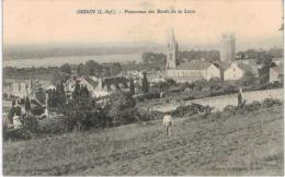 Oudon   Panorama Des Bords De La Loire - Oudon