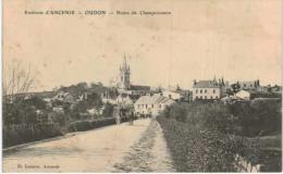 Environs D'Ancenis - Oudon Route De Champtoceaux - Oudon