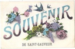 Cpa - Saint Sauveur - Souvenir De Saint Sauveur  ( En L´état ) - Saint Sauveur En Puisaye