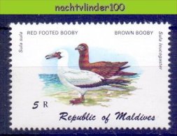 Naa2071 FAUNA VOGELS BOOBY BIRDS VÖGEL AVES OISEAUX MALDIVES 1980 PF/MNH - Albatros