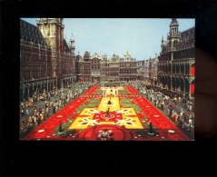 BRUXELLES BRUSSEL : X2 Cp : Grand Place Tapis De Fleurs Grote Markt Bloementapijt - Fêtes, événements