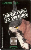 TARJETA DE MEXICO DE UN AGUILA ELEGANTE   (BIRD-PAJARO-EAGLE) - Arenden & Roofvogels