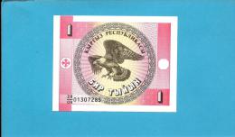 KYRGYZSTAN - 1 Tyiyn - ND ( 1993 ) - P 1 - UNC. - Série 28/OH - Bald Eagle - 2 Scans - Kirghizistan