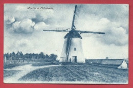 Ronse / Renaix - Windmolen Hootondt ( Verso Zien ) - Renaix - Ronse