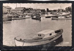 33 GUJAN MESTRAS LE PORT ANIMEE PINASSES CARTE PHOTO DENTELEE - Gujan-Mestras