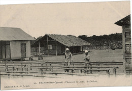 Carte Postale Ancienne Du GABON - N'KOGO - PLANTATION DE CACAO - LE SECHOIR - Gabon