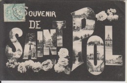 D62 - SOUVENIR DE SAINT POL (CARTE FANTAISIE DANS CHAQUE LETTRE ST POL-EN DECORS DES FLEURS) - Saint Pol Sur Ternoise