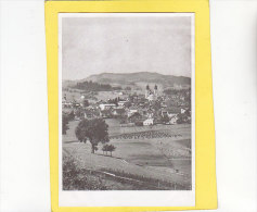 CPA - LINDENBERG Im ALLGÄU  - Im Hintergrund Der Pfander  - Photo Adolf Schwarz - Lindenberg I. Allg.