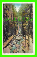 WHITE MOUNTAINS, NH - THE FLUME, FRANCONIA NOTCH - PUB. BY CHISHOLM BROTHERS - - White Mountains