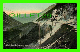 WHITE MOUNTAINS, NH - CRAWFORD NOTCH ONE AUGUST DAY (THE SNOW) - PUB. BY CHISHOLM BROTHERS - - White Mountains