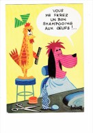 Cpm Illustration Humour SHAMPOOING AUX OEUFS - LES ANIMAUX DE BARBEROUSSE Coiffeur Coq Chien Peigne Ciseaux Vaporisateur - Barberousse