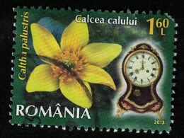 Roumanie 2013 Oblitéré Rond Used Fleur Caltha Palustris Populage Des Marais - Usado