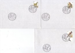 FDC Sur Enveloppe Libre Buzin 2424-26 - 1991-2000