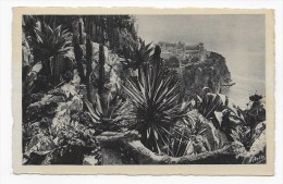 MONTE CARLO - N° 858 - JARDINS EXOTIQUES ET LE ROCHER DE MONACO - CPA NON VOYAGEE - Exotic Garden