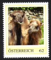 ÖSTERREICH 2011 ** Trampeltier / Camelus Ferus - PM Personalized Stamp MNH - Personalisierte Briefmarken