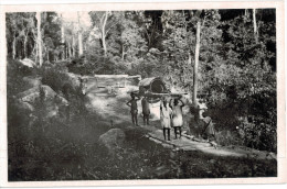 Carte Postale Ancienne De GUINEE - VOYAGE EN HAMAC - Guinée