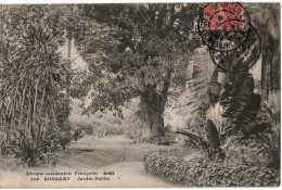 Carte Postale Ancienne De GUINEE - KONAKRY - JARDIN PUBLIC - Guinée