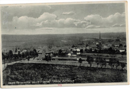 Carte Postale Ancienne De PAYS-BAS - VAALS PANORAMA GEZIEN VANAF HOTEL BELLEVUE - Vaals