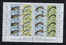 Bulgaria / Bulgarie 2004 WWF - FISH ( Hausen ) Sheet - Used /oblitere (O) - Used Stamps