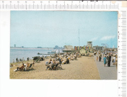 Beach   And  CLARENCE  PIER   - - Portsmouth