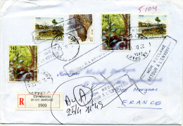 GREECE 2002 - Registered Cover From Greece To France With Cinderella On Back Returned To Sender. - Lettres & Documents