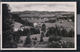 Hinterzarten - Teilansicht - Schwarzwald - 1933 - Hinterzarten