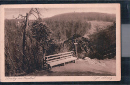 Pöhl - Die Loreley Im Triebtal - Vogtländische Schweiz - Poehl