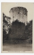 CHATILLON COLIGNY - LE DONJON - CPA NON VOYAGEE AVEC PETIT TROU DE PUNAISE EN HAUT - Chatillon Coligny