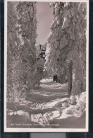 Oberwiesenthal - Am Roten Vorwerk -  Winter - Erzgebirge - Oberwiesenthal