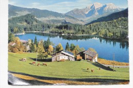 Germany   Hintersee Bei Berchtesgaden Mit Göll Und Brett  Stamp 1963     A 31 - Berchtesgaden