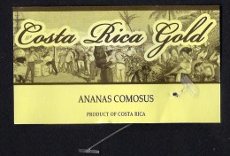 # PINEAPPLE COSTA RICA GOLD Fruit Tag Balise Etiqueta Anhanger Ananas Pina Costa Rica - Fruits Et Légumes