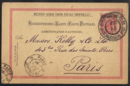 LEVANT AUTRICHIEN - CONSTANTINOPEL - TURQUIE / 1900 ENTIER POSTAL POUR PARIS (ref 6710) - Oostenrijkse Levant