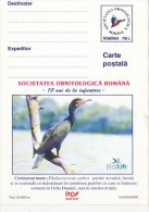 23918- BIRDS, GREAT CORMORANT, POSTCARD STATIONERY, 2000, ROMANIA - Marine Web-footed Birds